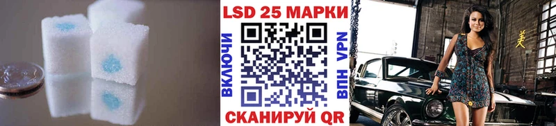 мориарти официальный сайт  Ядрин  LSD-25 экстази ecstasy  МЕГА tor 